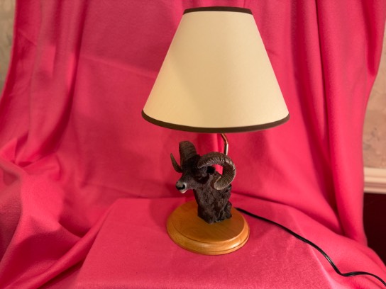Image of the Item