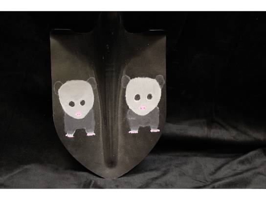 Image of the Item