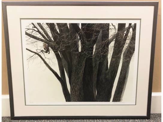 Image of the Item