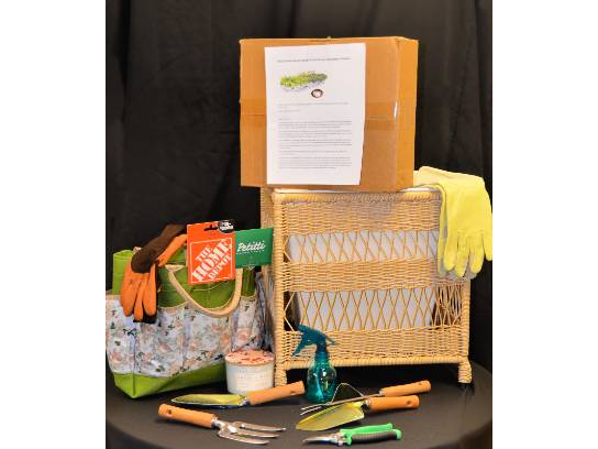Image of the Item
