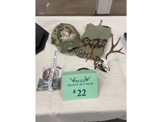 Image of the Item