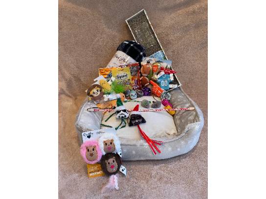 Image of the Item