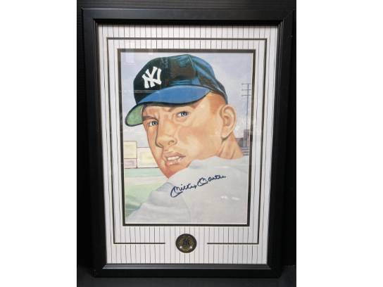 Image of the Item