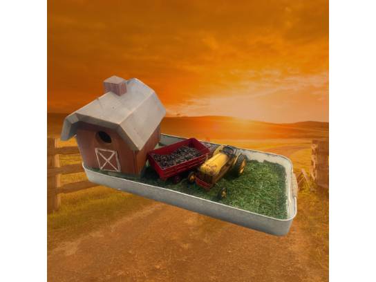 Image of the Item