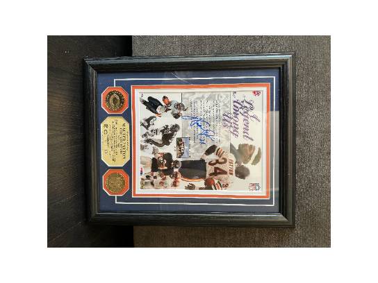 Image of the Item