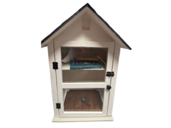 Image of the Item