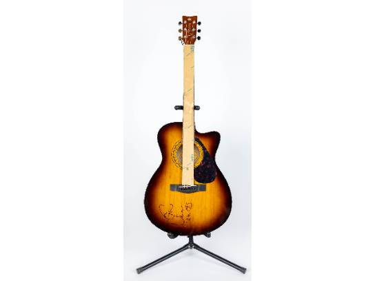 Image of the Item