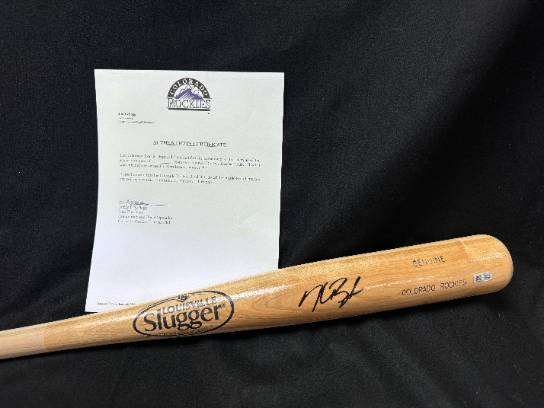Image of the Item