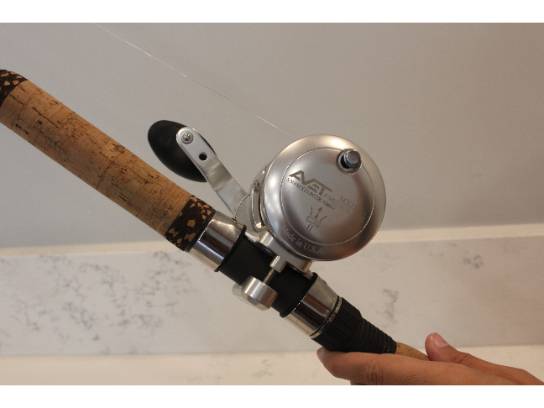 Image of the Item