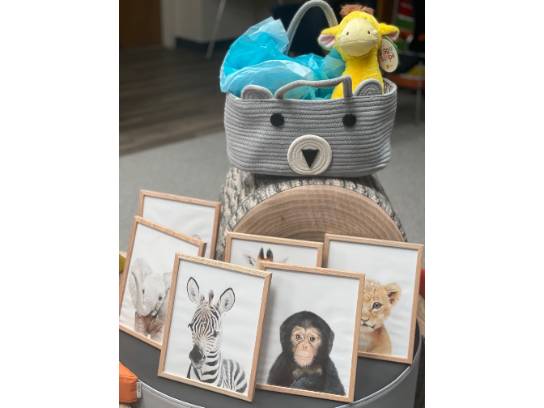 Image of the Item