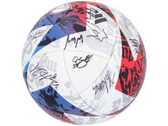 Image of the Item
