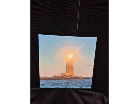 Image of the Item