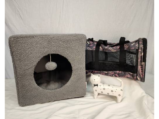 Image of the Item