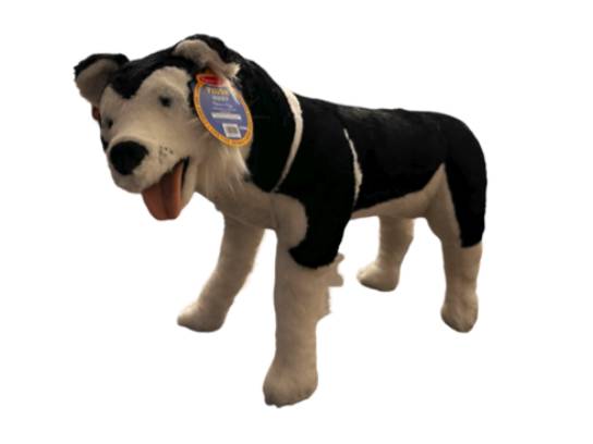Image of the Item