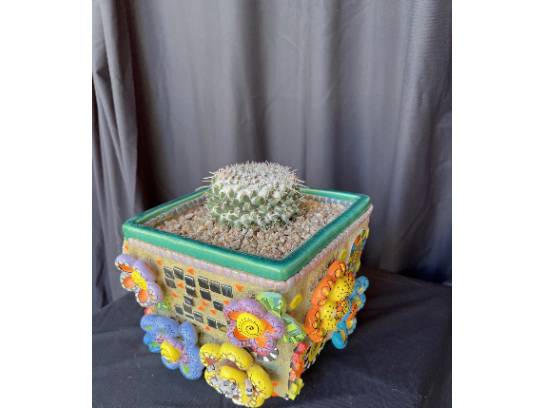 Image of the Item