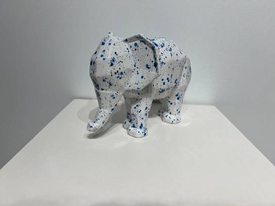 Image of the Item