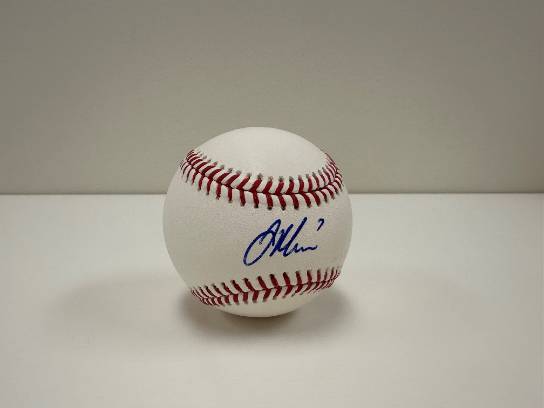 Image of the Item