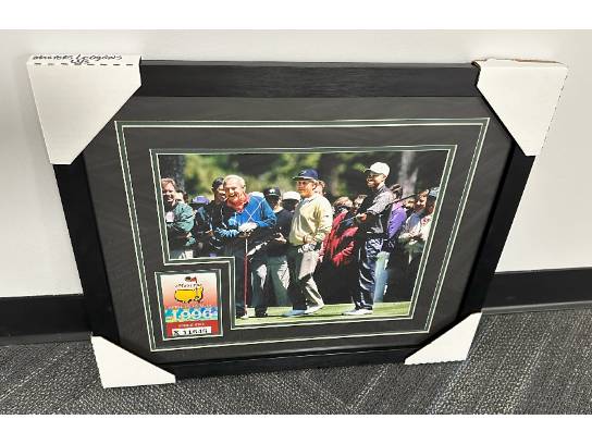 Image of the Item