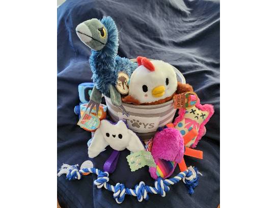 Image of the Item