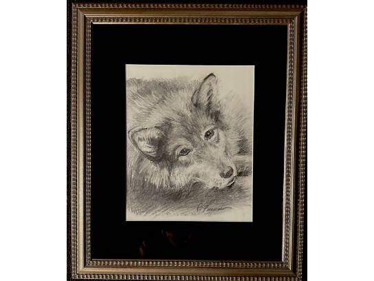 Image of the Item