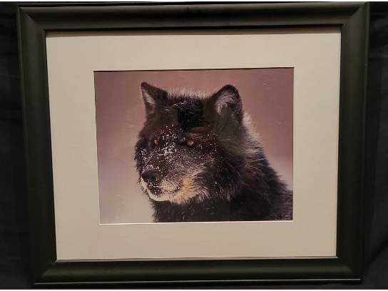 Image of the Item