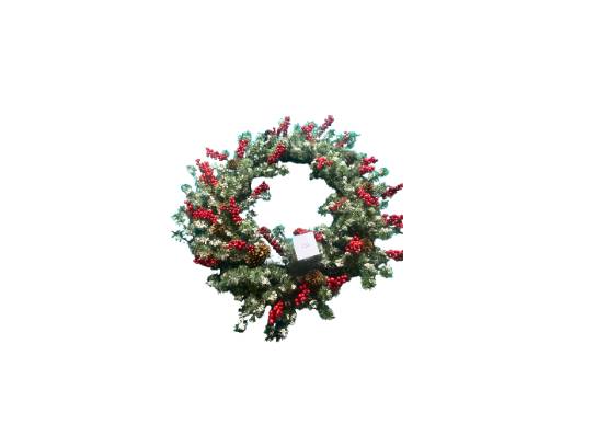 Image of the Item