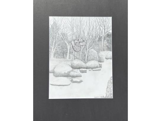 Image of the Item
