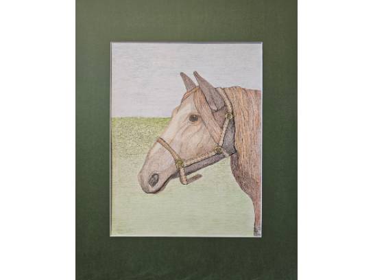 Image of the Item