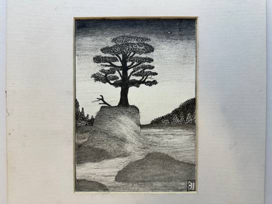 Image of the Item