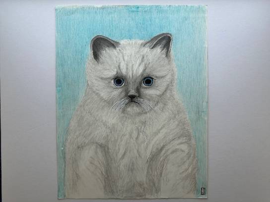 Image of the Item