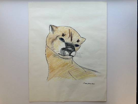 Image of the Item