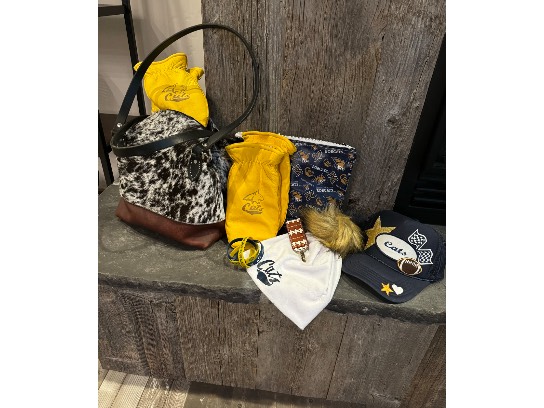 Image of the Item