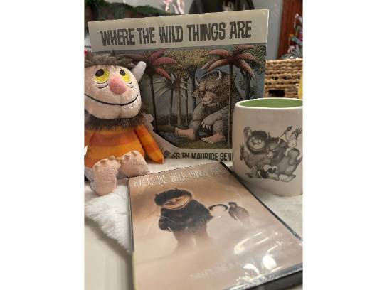 Image of the Item