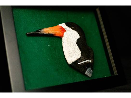 Image of the Item