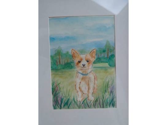 Image of the Item