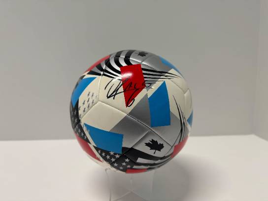 Image of the Item