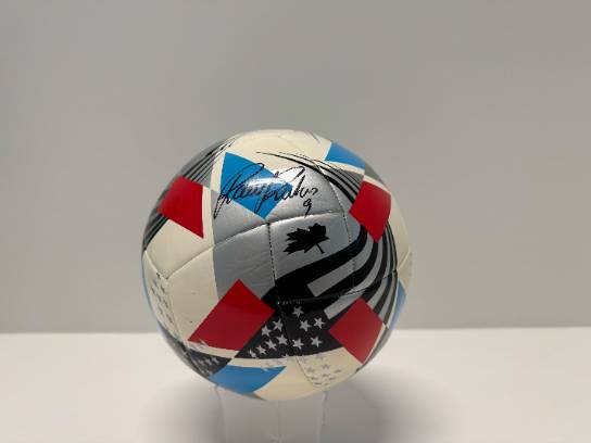 Image of the Item