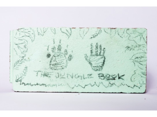 Image of the Item
