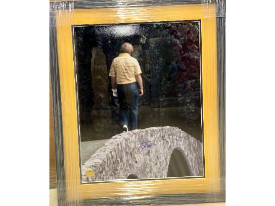 Image of the Item