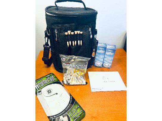 Image of the Item