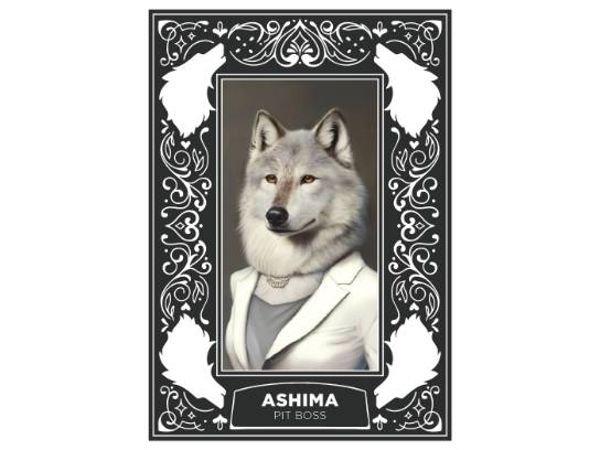 Image of the Item