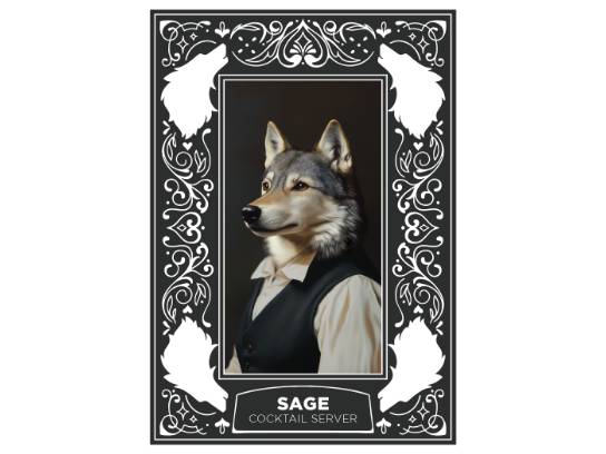 Image of the Item