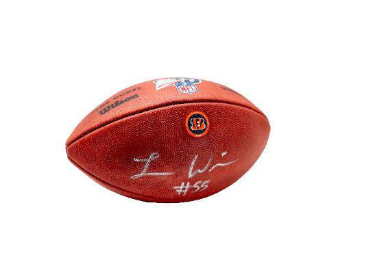 Image of the Item