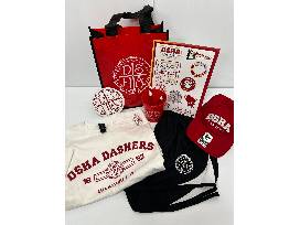 DSHA Auction 2025 | Powered By GiveSmart