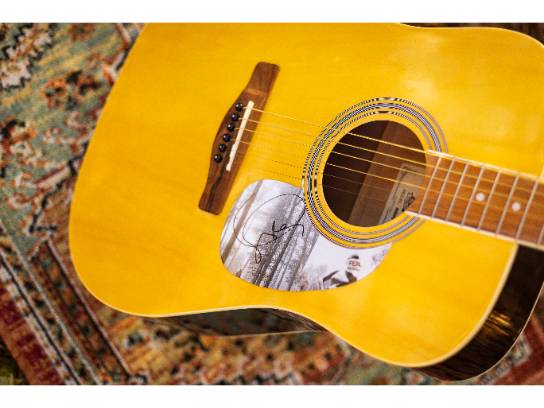 Image of the Item