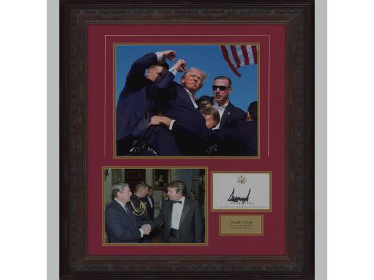 Image of the Item