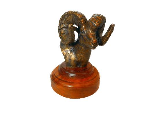 Image of the Item