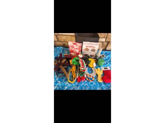 Image of the Item