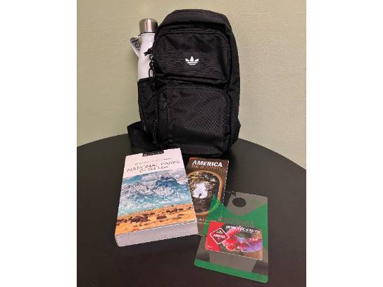 Image of the Item