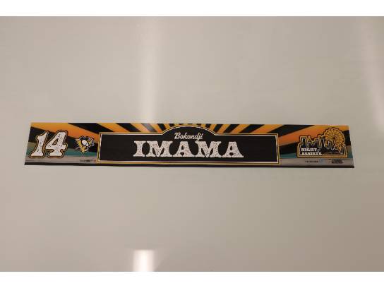 Image of the Item